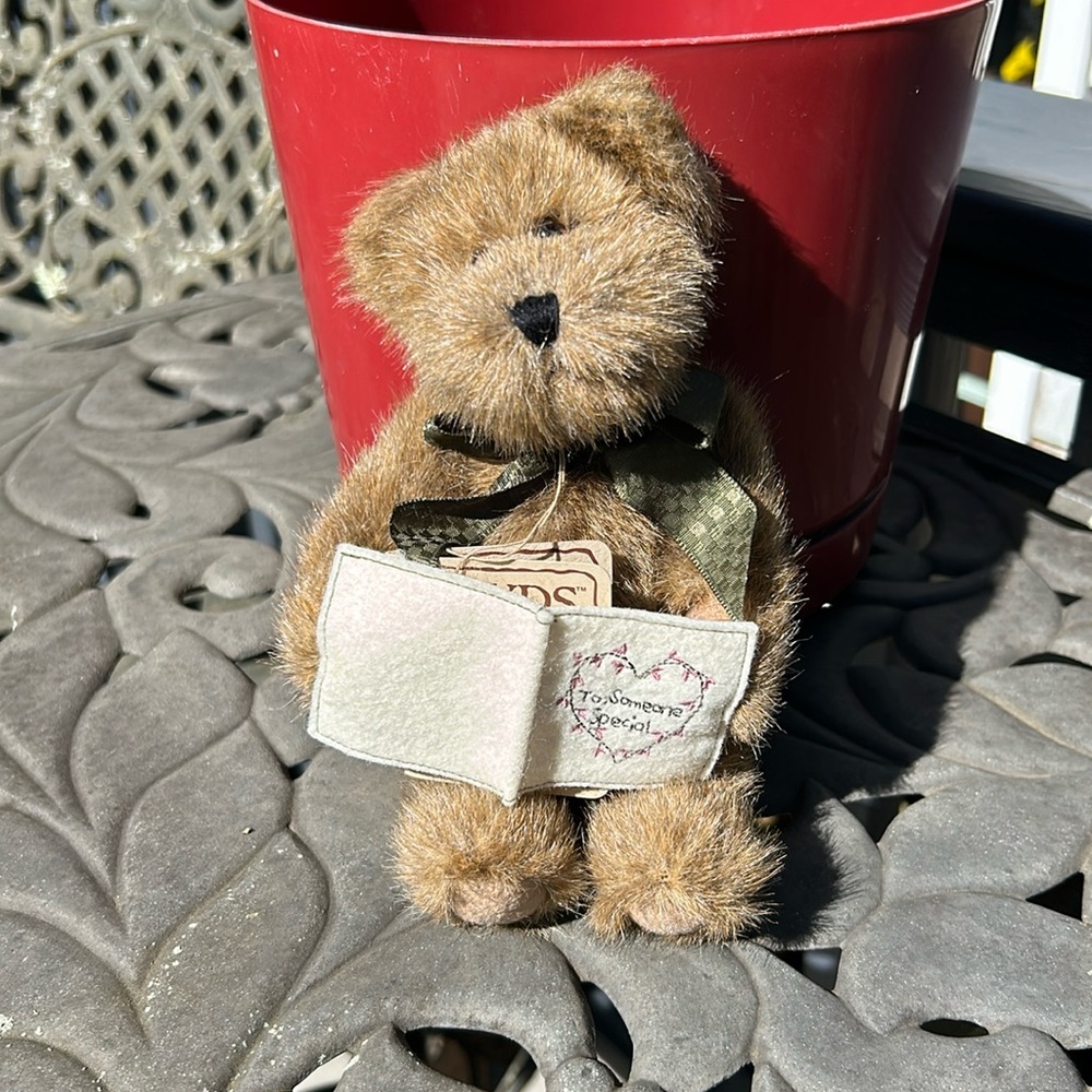Boyds Bear Thinkin of Ya Series Beary B Special